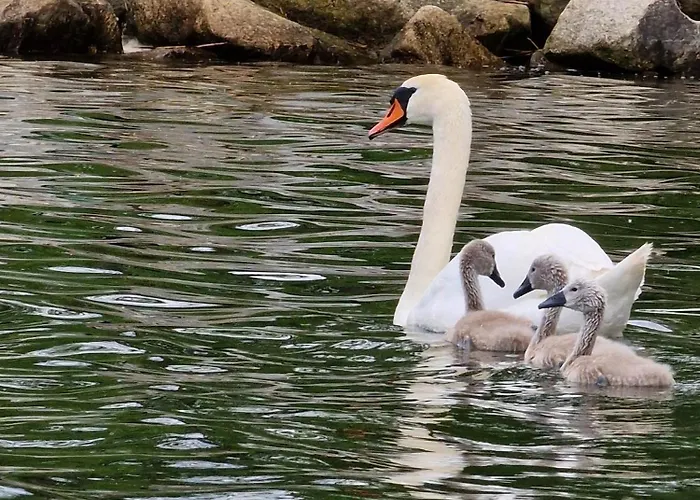 Caloroczny Tu Mi Milo W Lubkowie Semesterbostad